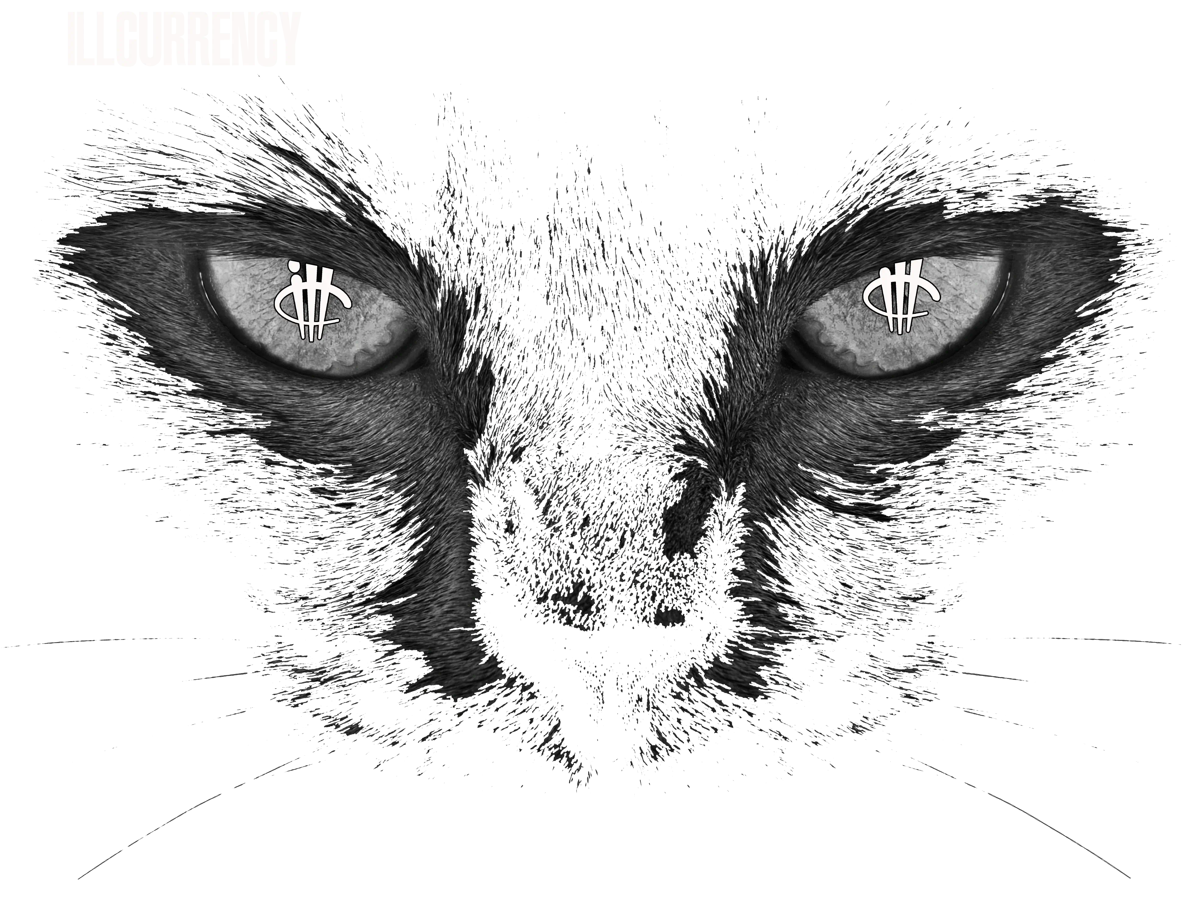 Air Jordan 4 Black Cat Matching T-Shirt, Sweatshirts & Hoodies Black T-Shirt (Black Cat)| illcurrency
